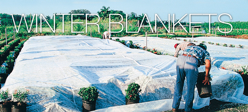 agrofabric-cold-protection-winterblankets